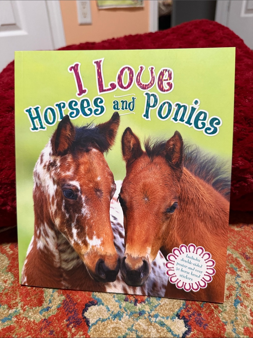 I Love Horses and Ponies book